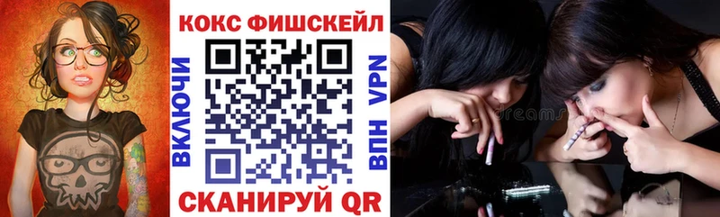 Купить закладки  Сасово  Cocaine Эквадор 