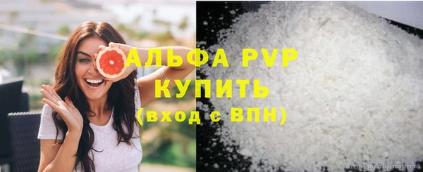 дживик Гусев