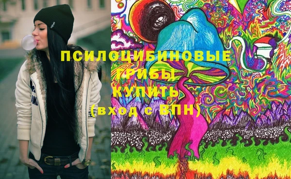 дживик Гусев