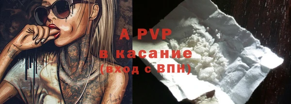 дживик Гусев
